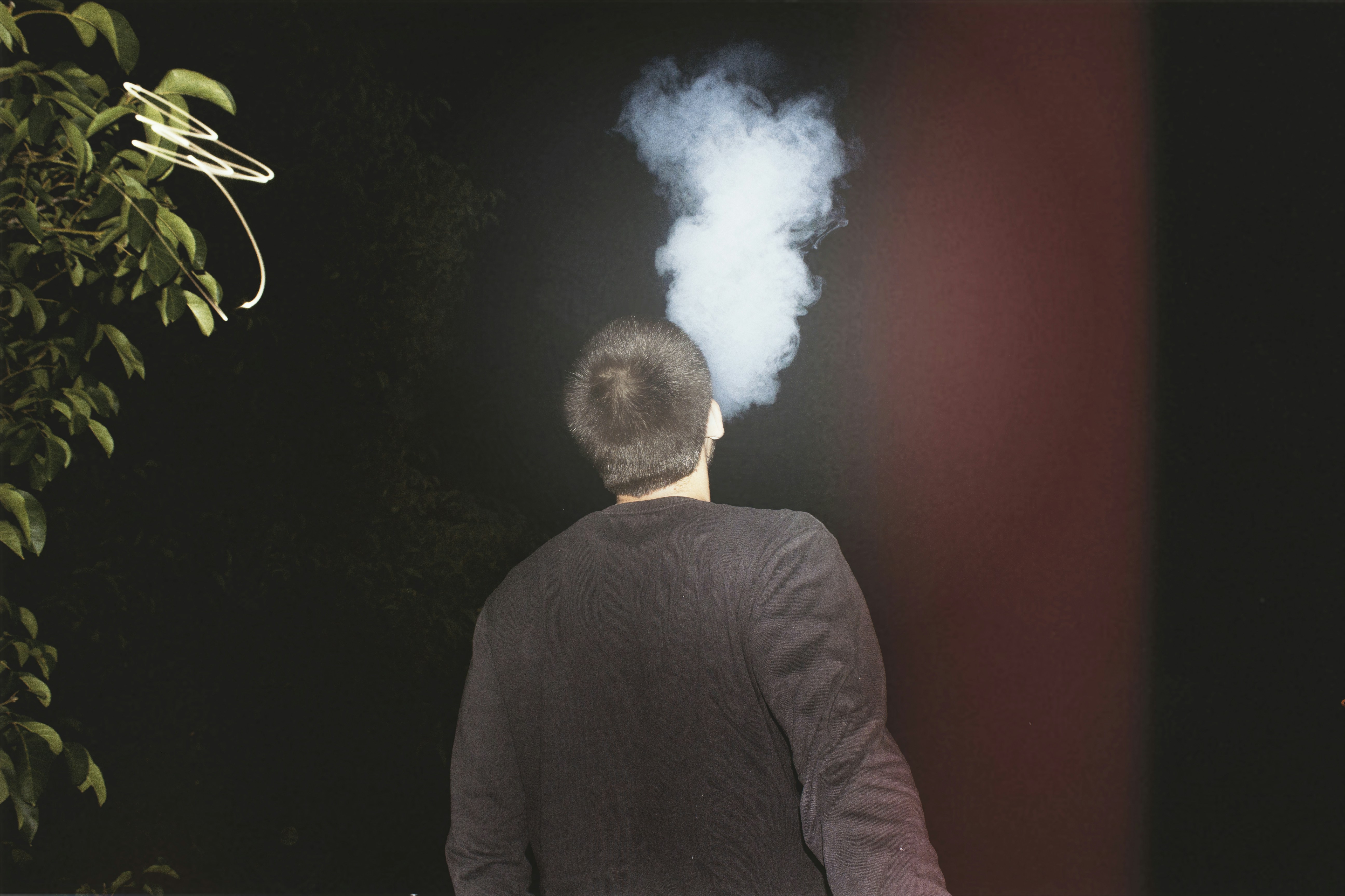 Free Unsplash photo from Viktor Pratnemer