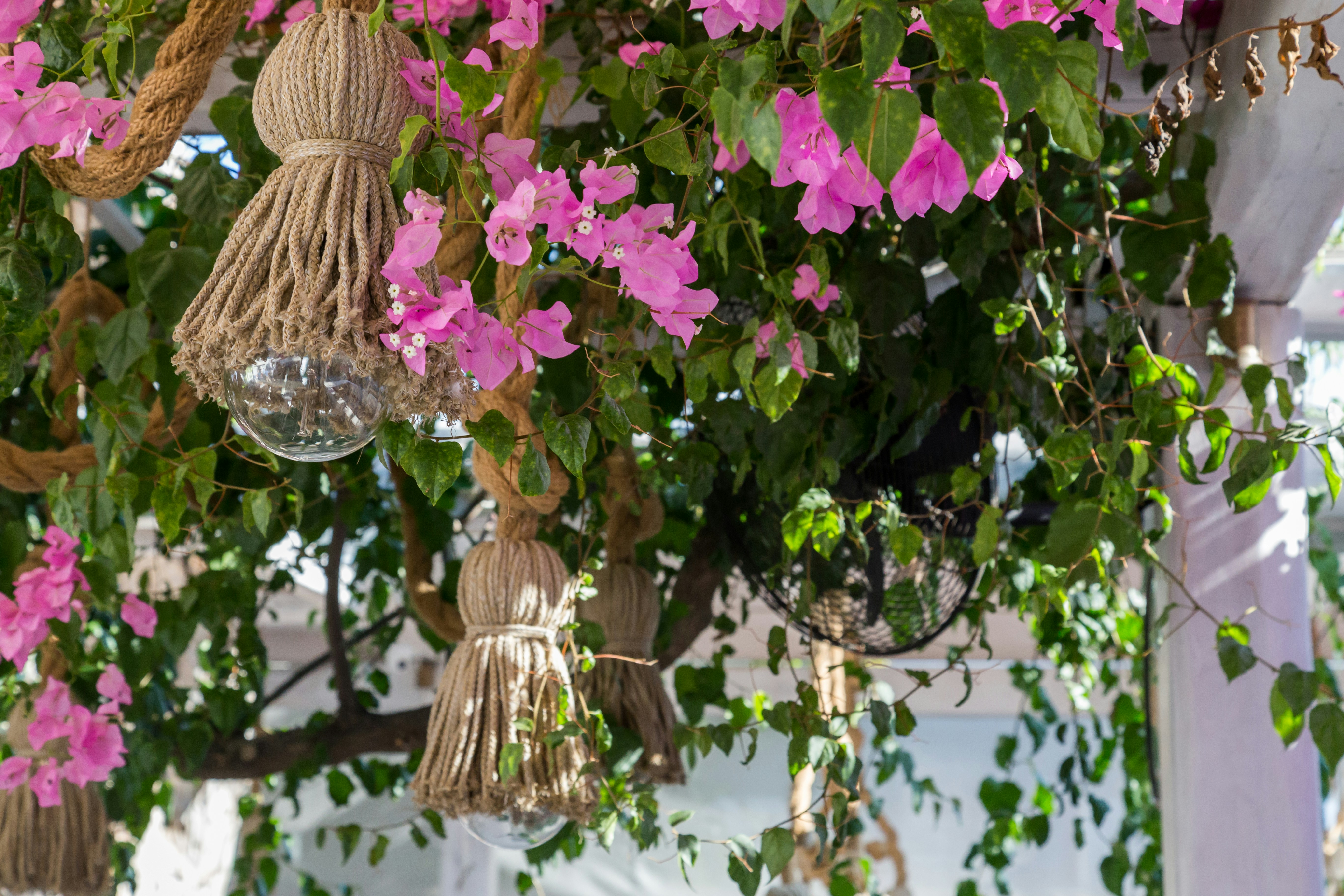 Free Unsplash photo from Luke Barnard