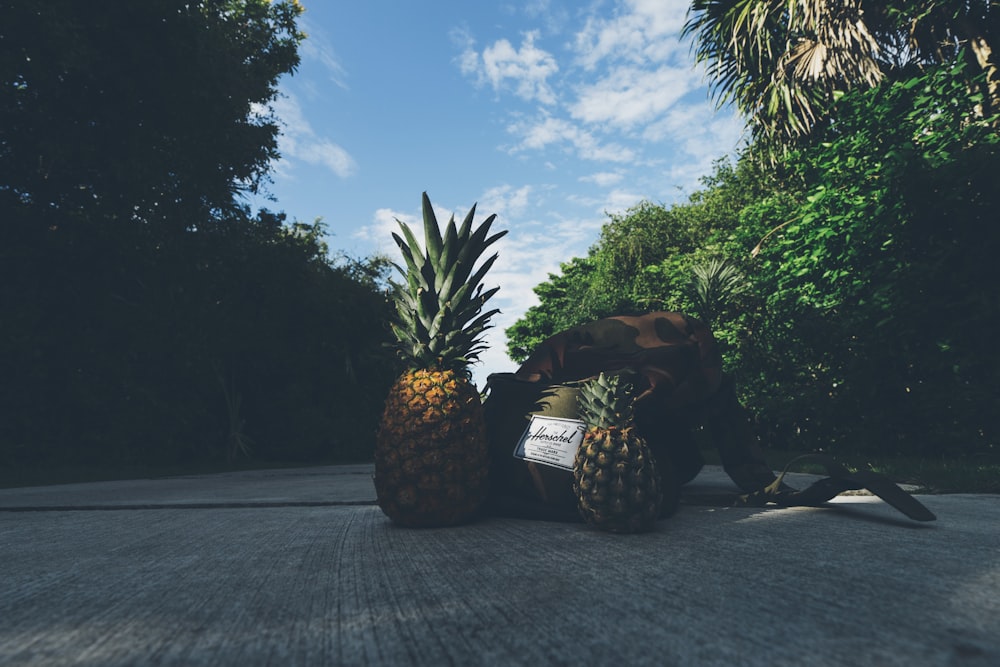 two pineapple fruits