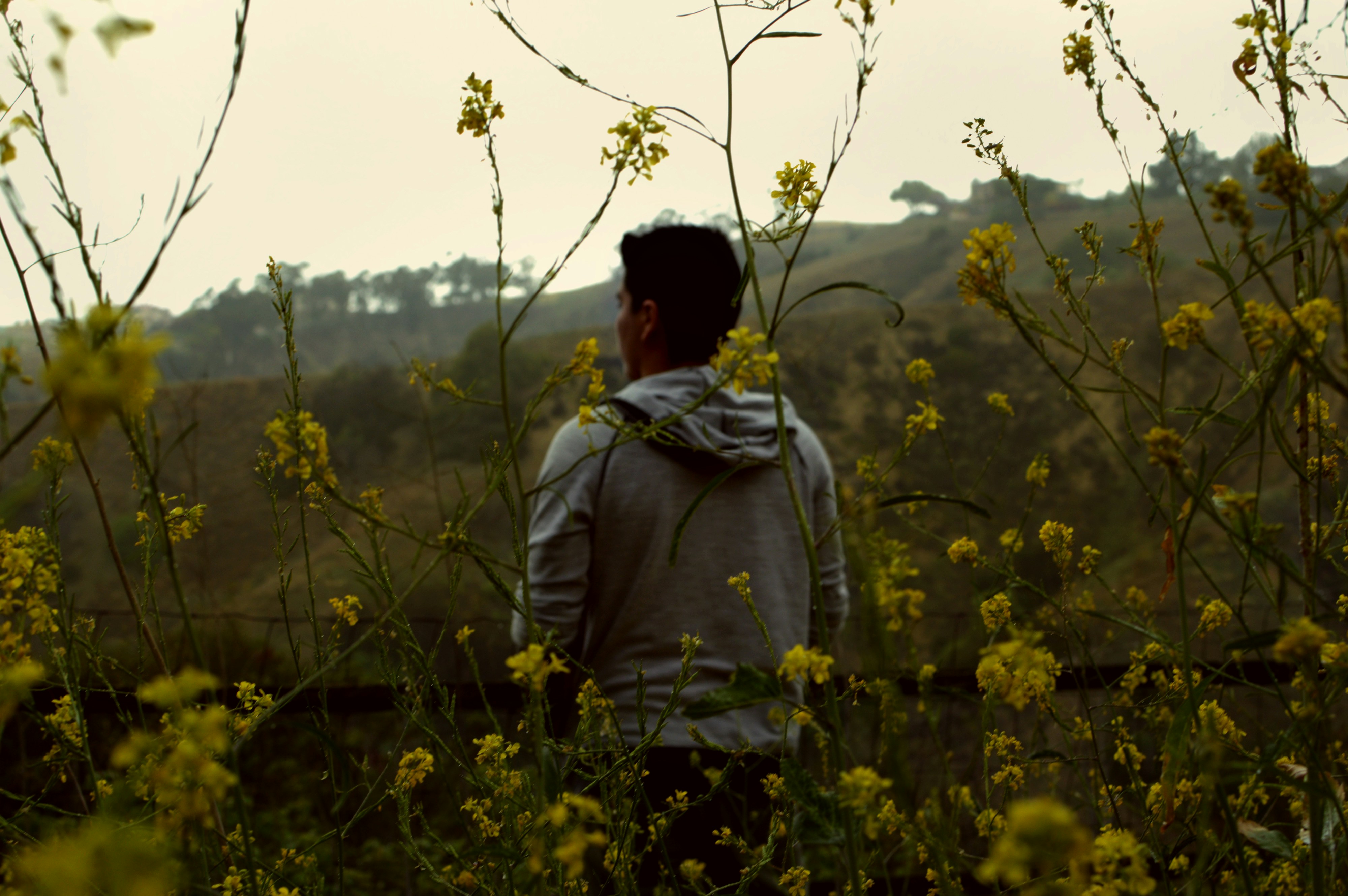 Free Unsplash photo from Michelle Quinto