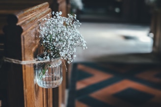 white petaled flower on glass vase