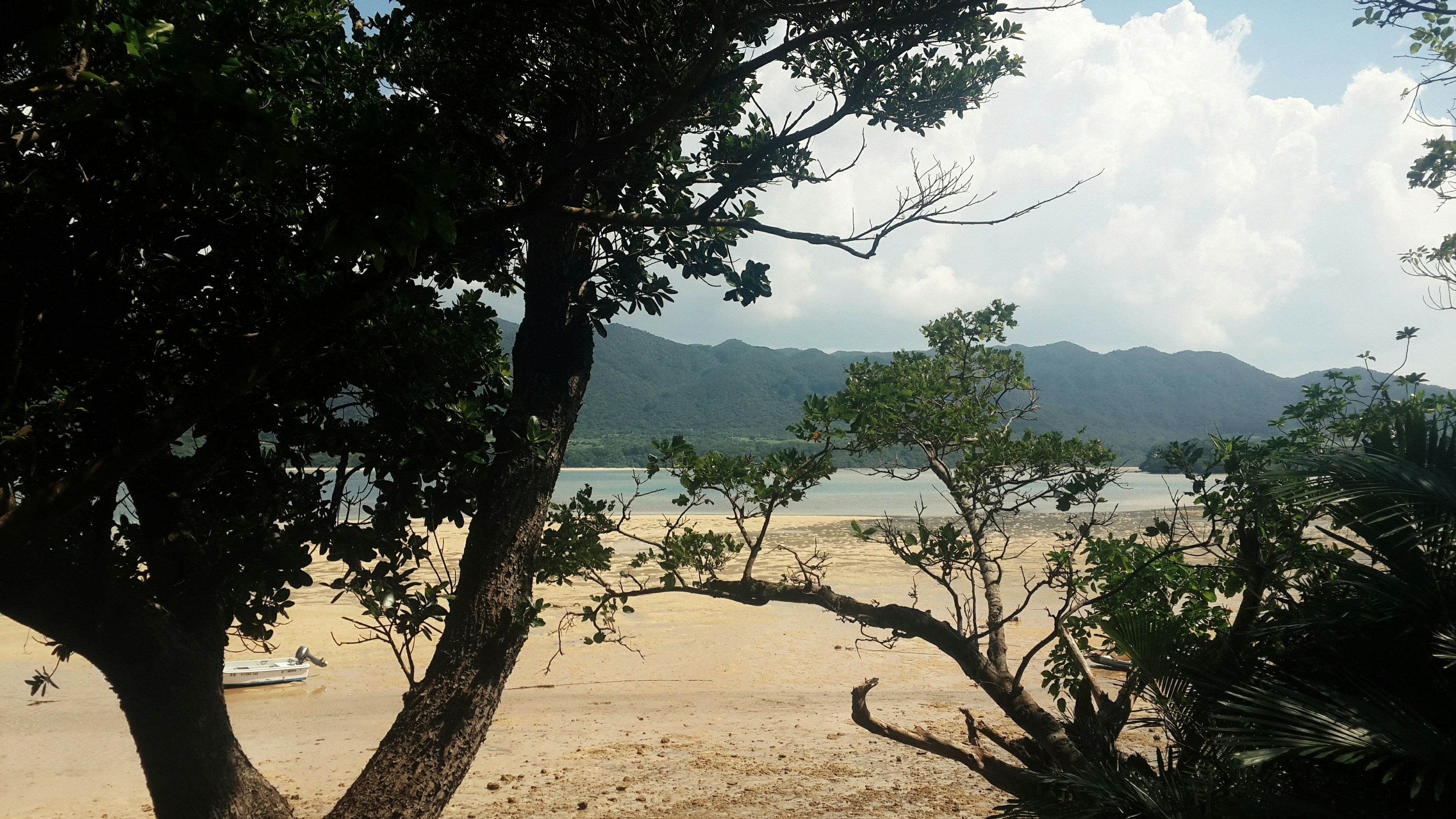 Free Unsplash photo from Chrisy Chen