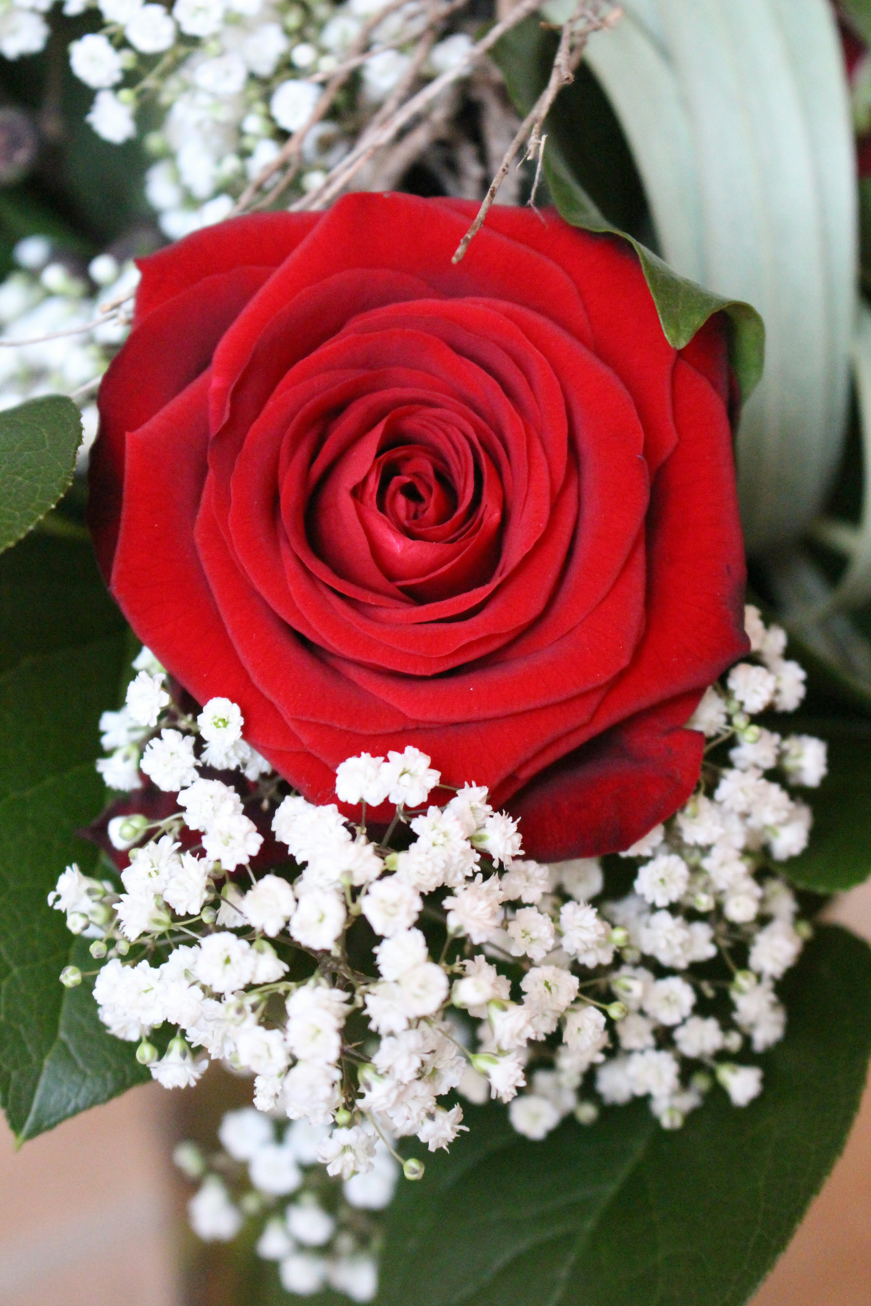 Free Unsplash photo from Anna Auert