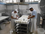 Two workers are in a cheese factory, handling trays filled with white containers. The room features industrial equipment and tiled walls, giving a clean and organized appearance. Both individuals are wearing white aprons and caps as they work.