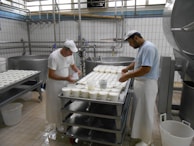 Team of workers collaborating in a clean, modern food processing factory.