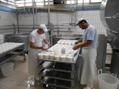Two workers are in a cheese factory, handling trays filled with white containers. The room features industrial equipment and tiled walls, giving a clean and organized appearance. Both individuals are wearing white aprons and caps as they work.