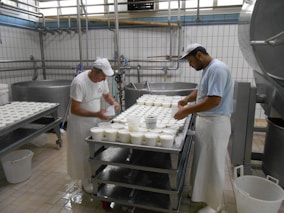 Smiling dairy workers handling milk bottles in a clean, modern processing facility.