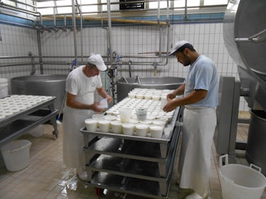 Two workers are in a cheese factory, handling trays filled with white containers. The room features industrial equipment and tiled walls, giving a clean and organized appearance. Both individuals are wearing white aprons and caps as they work.