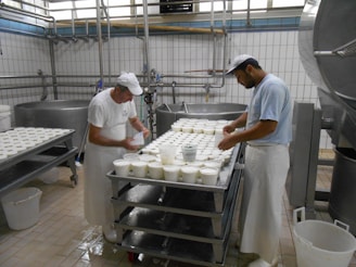 Two workers are in a cheese factory, handling trays filled with white containers. The room features industrial equipment and tiled walls, giving a clean and organized appearance. Both individuals are wearing white aprons and caps as they work.