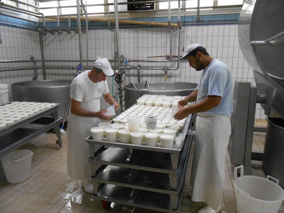 A photo of a cheese factory showcasing modern equipment with workers monitoring the production process.