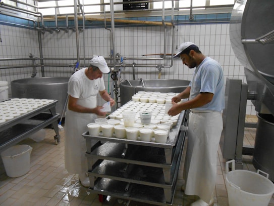 Two workers are in a cheese factory, handling trays filled with white containers. The room features industrial equipment and tiled walls, giving a clean and organized appearance. Both individuals are wearing white aprons and caps as they work.