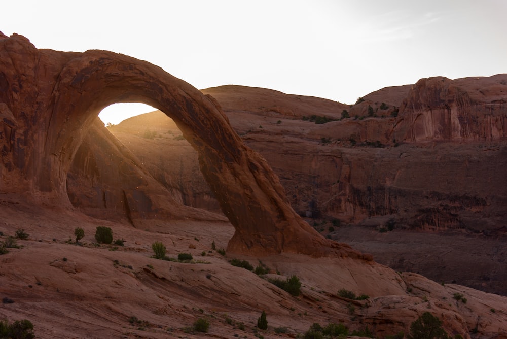 elephant trunk rock formation