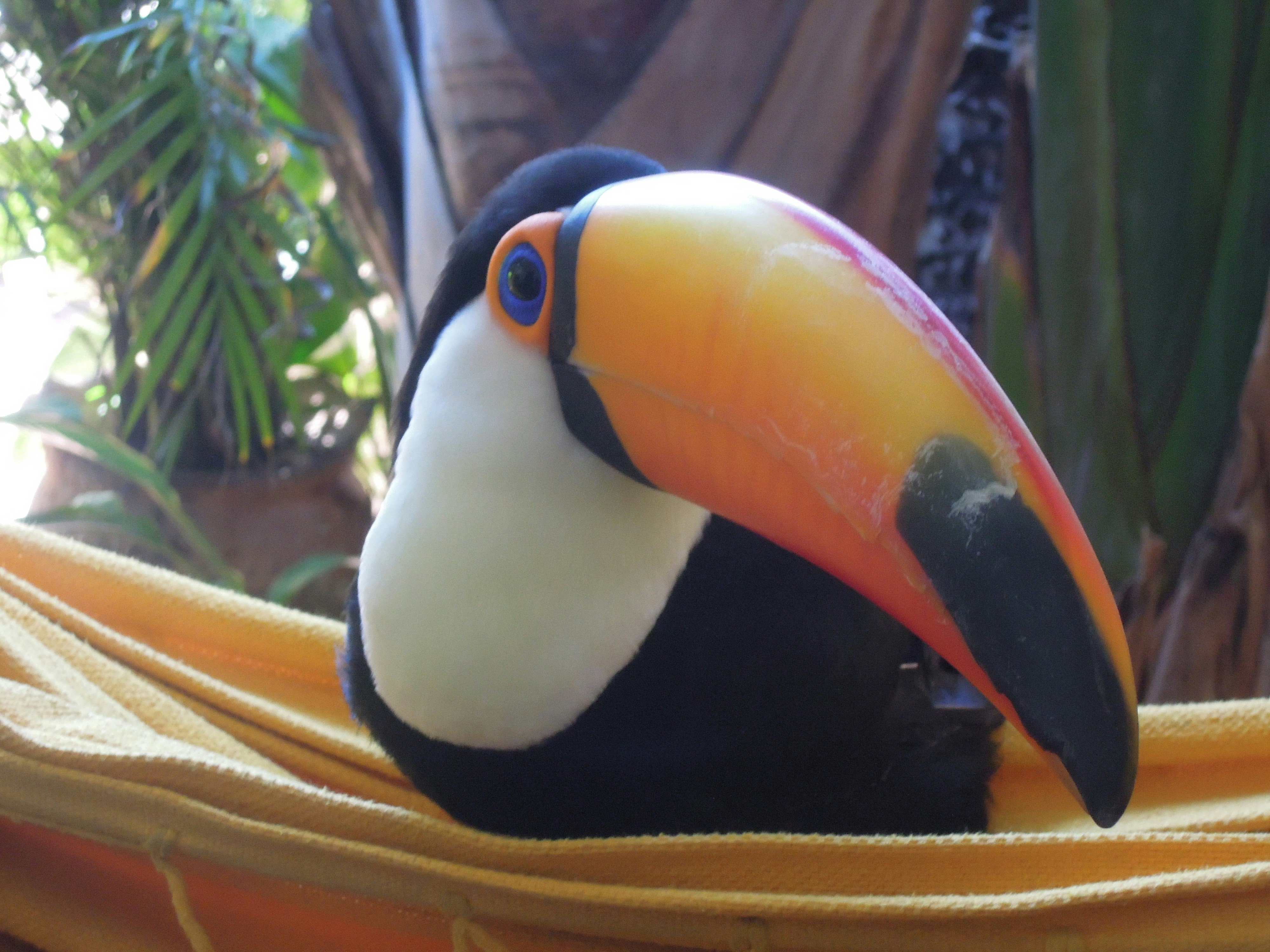 Free Unsplash photo from Raja Gumienny