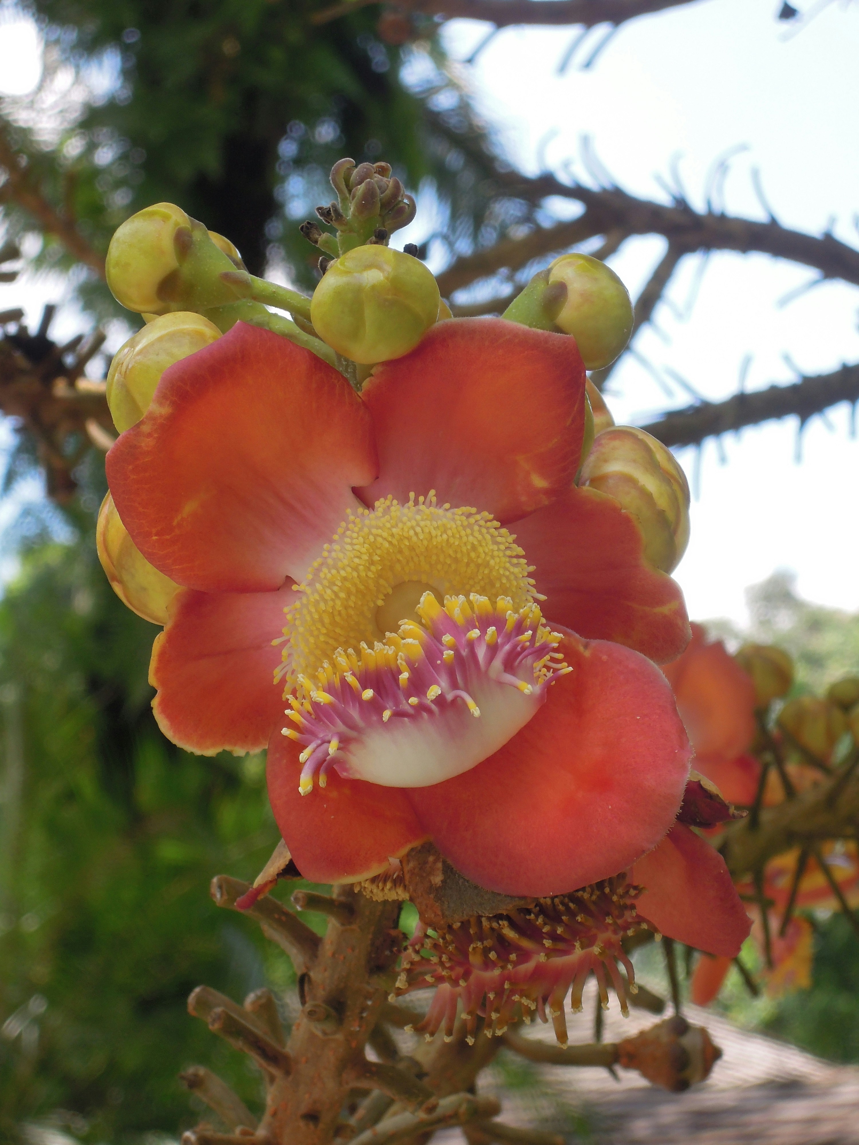 Free Unsplash photo from Raja Gumienny