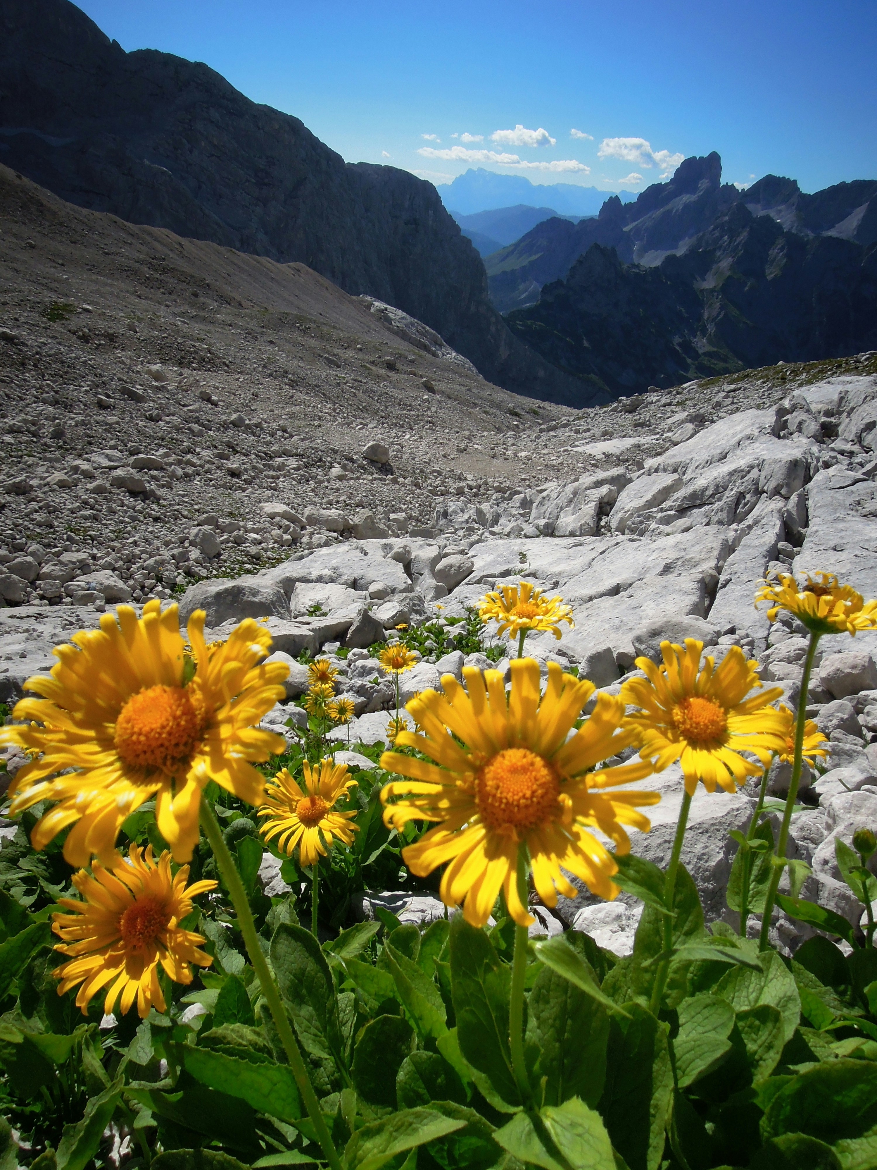 Free Unsplash photo from Raja Gumienny