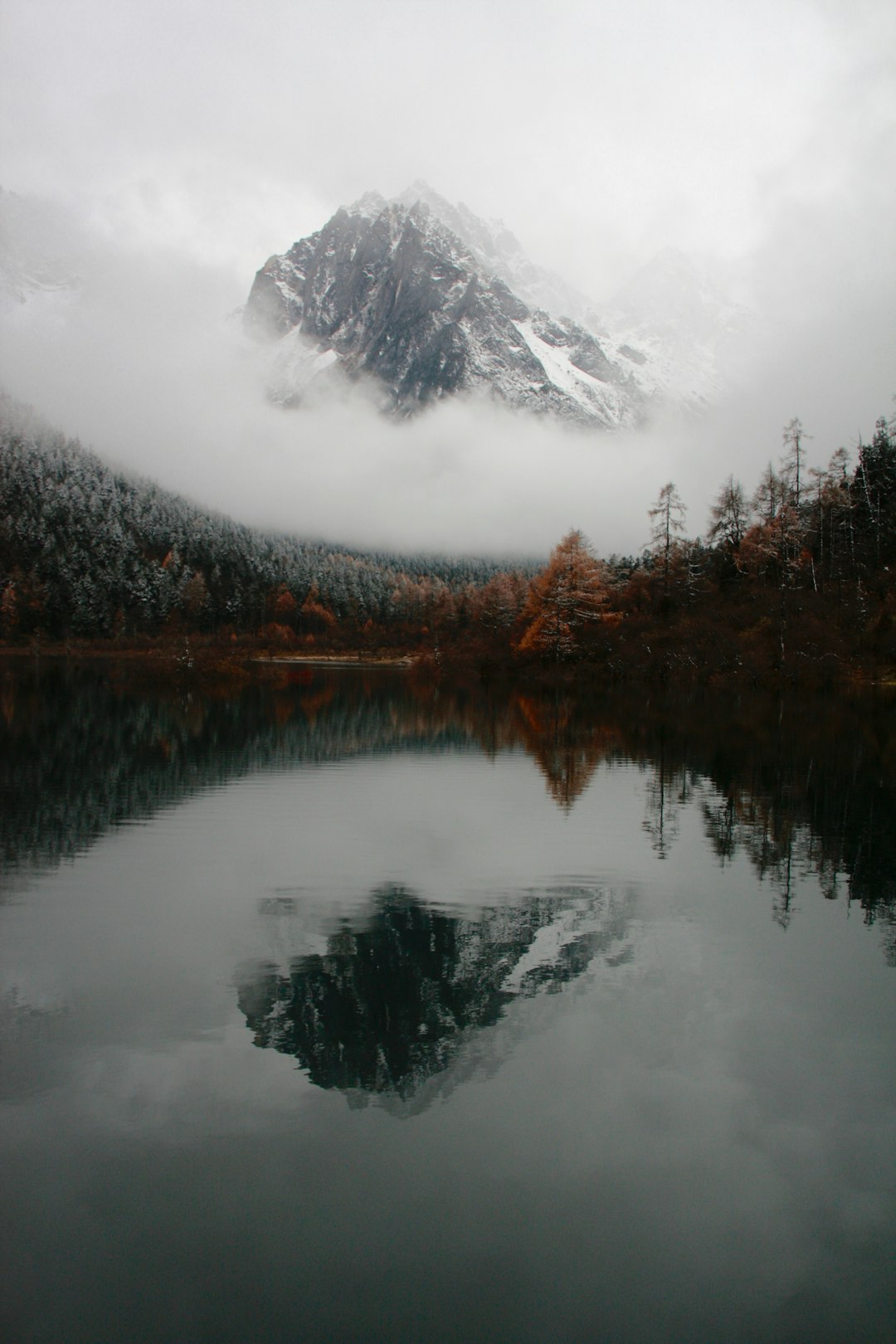 Highland photo spot Bi Peng Gou - Sichuan Siguniang Mountain