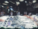A seafood market display with various types of fish laid out on a bed of ice. Multiple handwritten signs indicate the types of fish and their prices, including wild salmon and mackerel. The background shows hanging lights and various signs, contributing to the bustling market atmosphere.