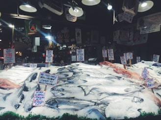 A seafood market display with various types of fish laid out on a bed of ice. Multiple handwritten signs indicate the types of fish and their prices, including wild salmon and mackerel. The background shows hanging lights and various signs, contributing to the bustling market atmosphere.
