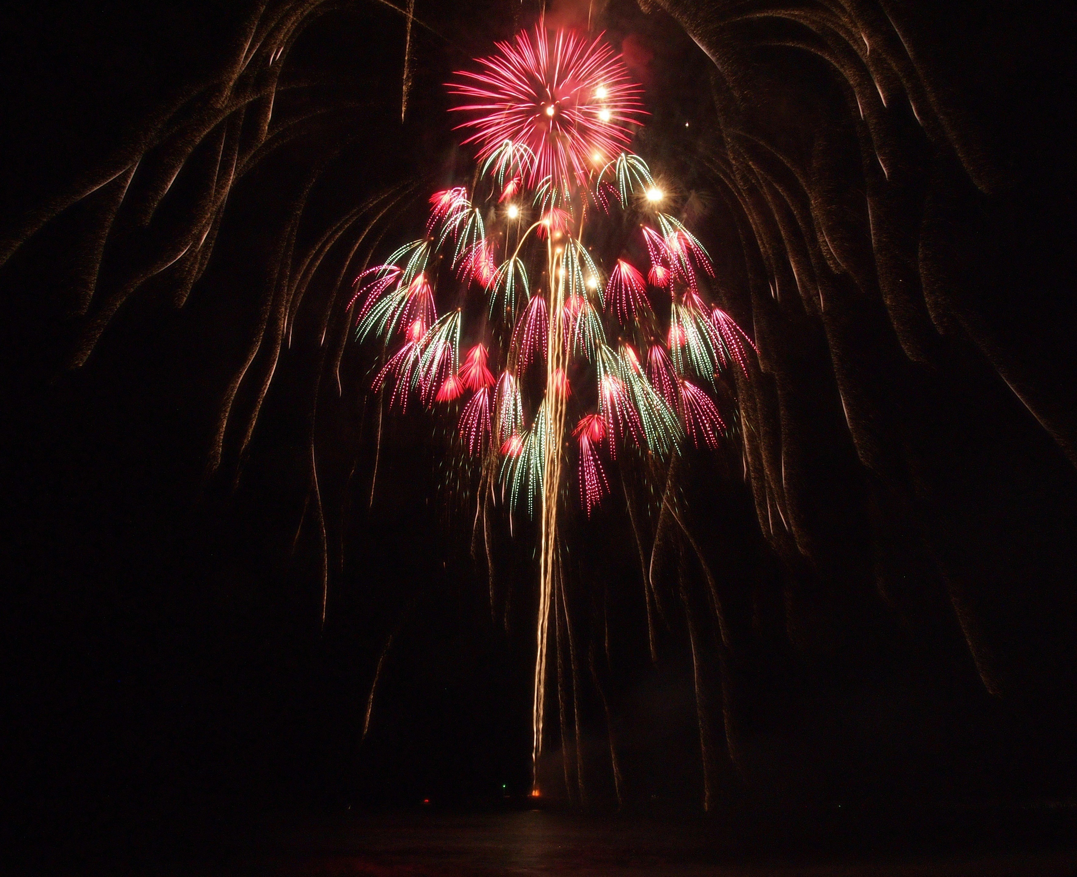 Free Unsplash photo from Bhupendra Singh