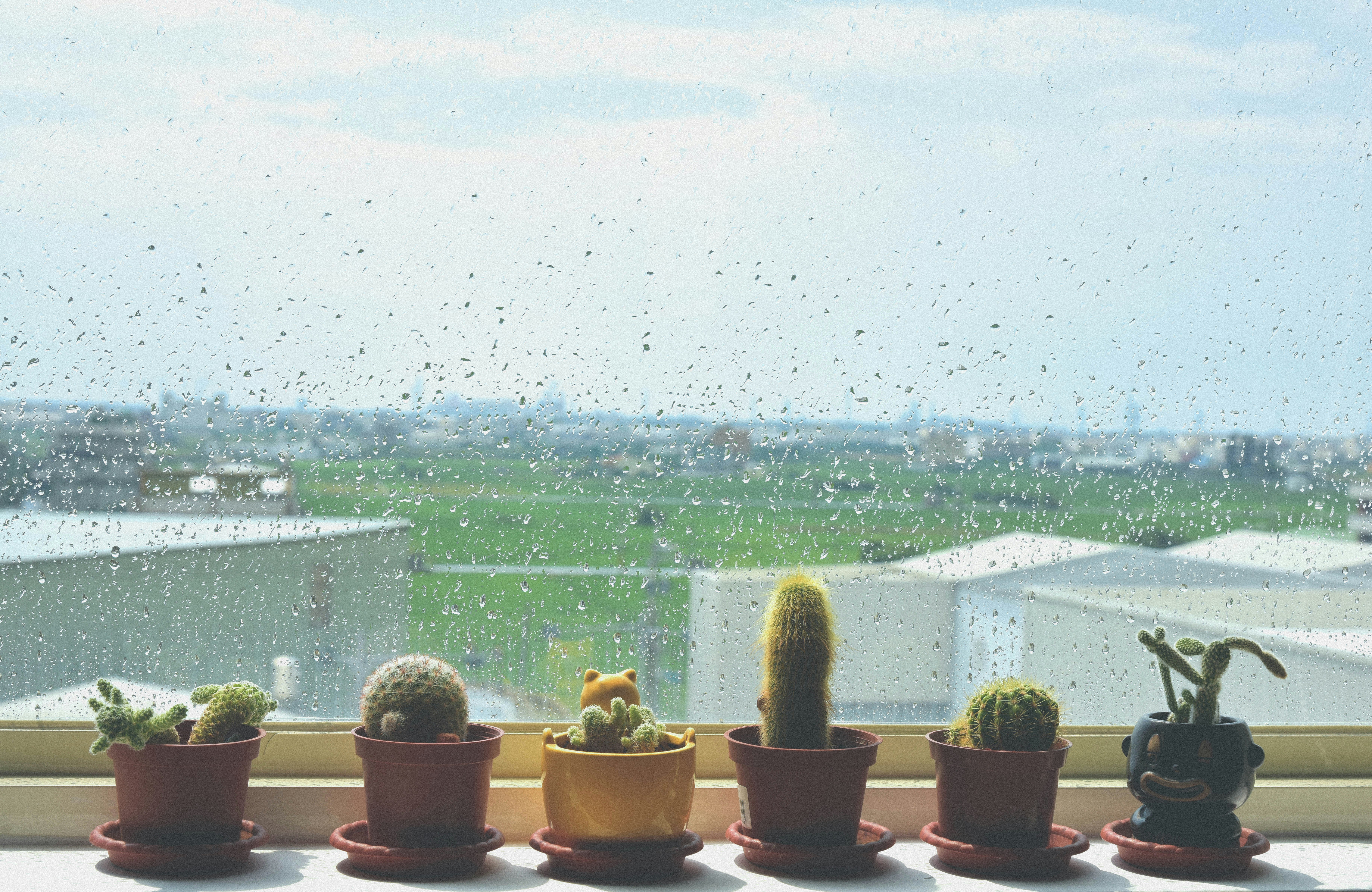 Free Unsplash photo from 榮達 陳