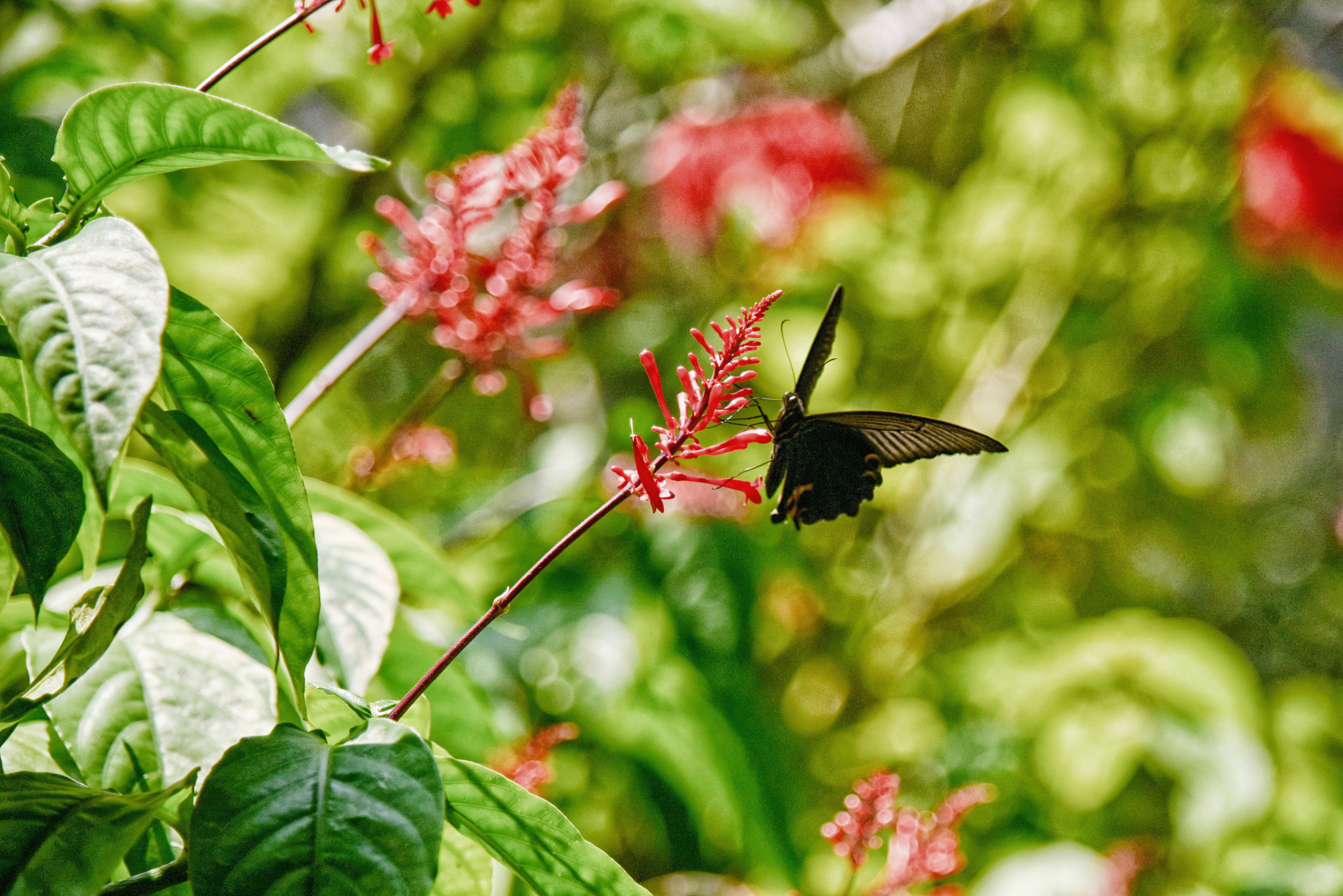 Free Unsplash photo from 榮達 陳