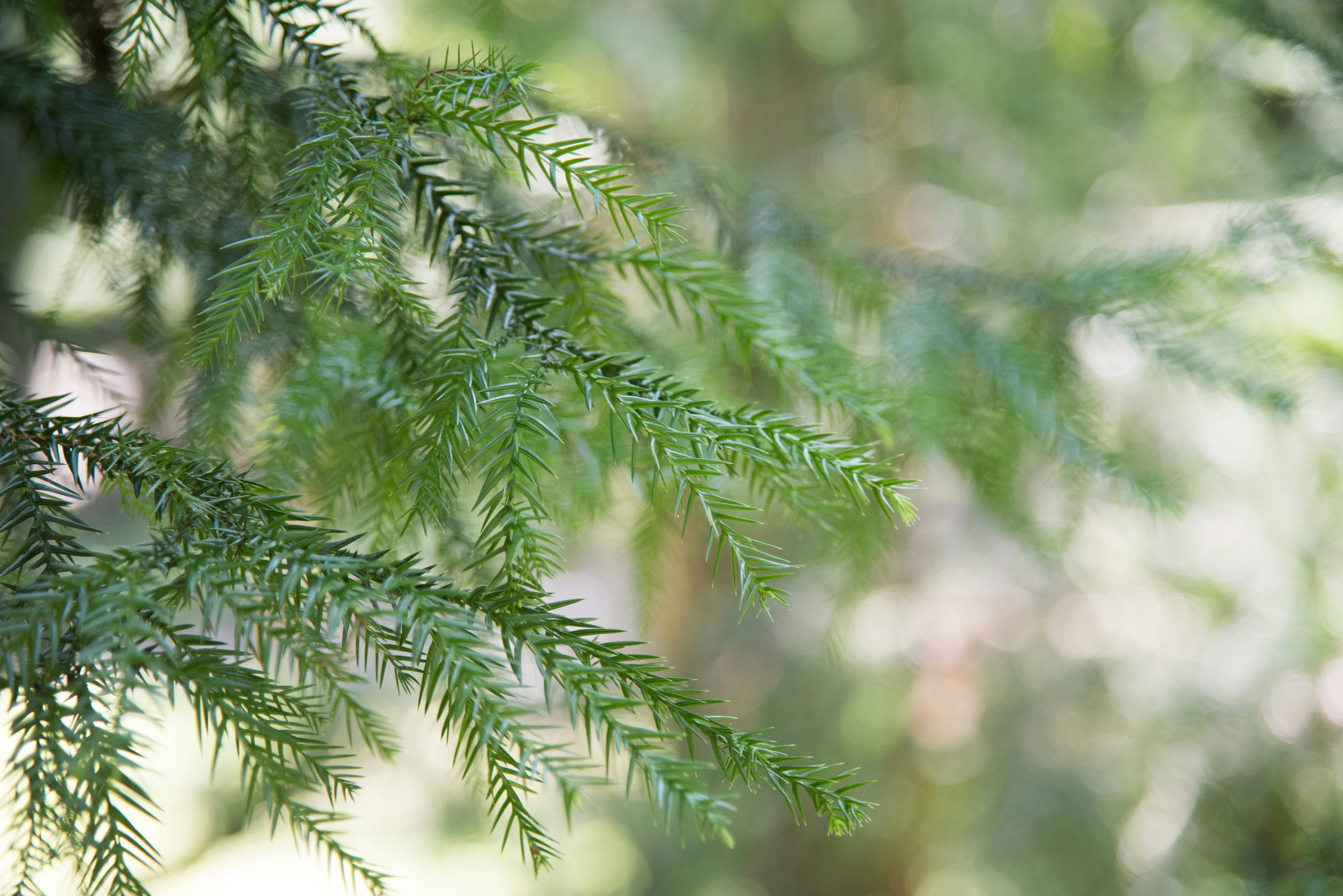 Free Unsplash photo from 榮達 陳