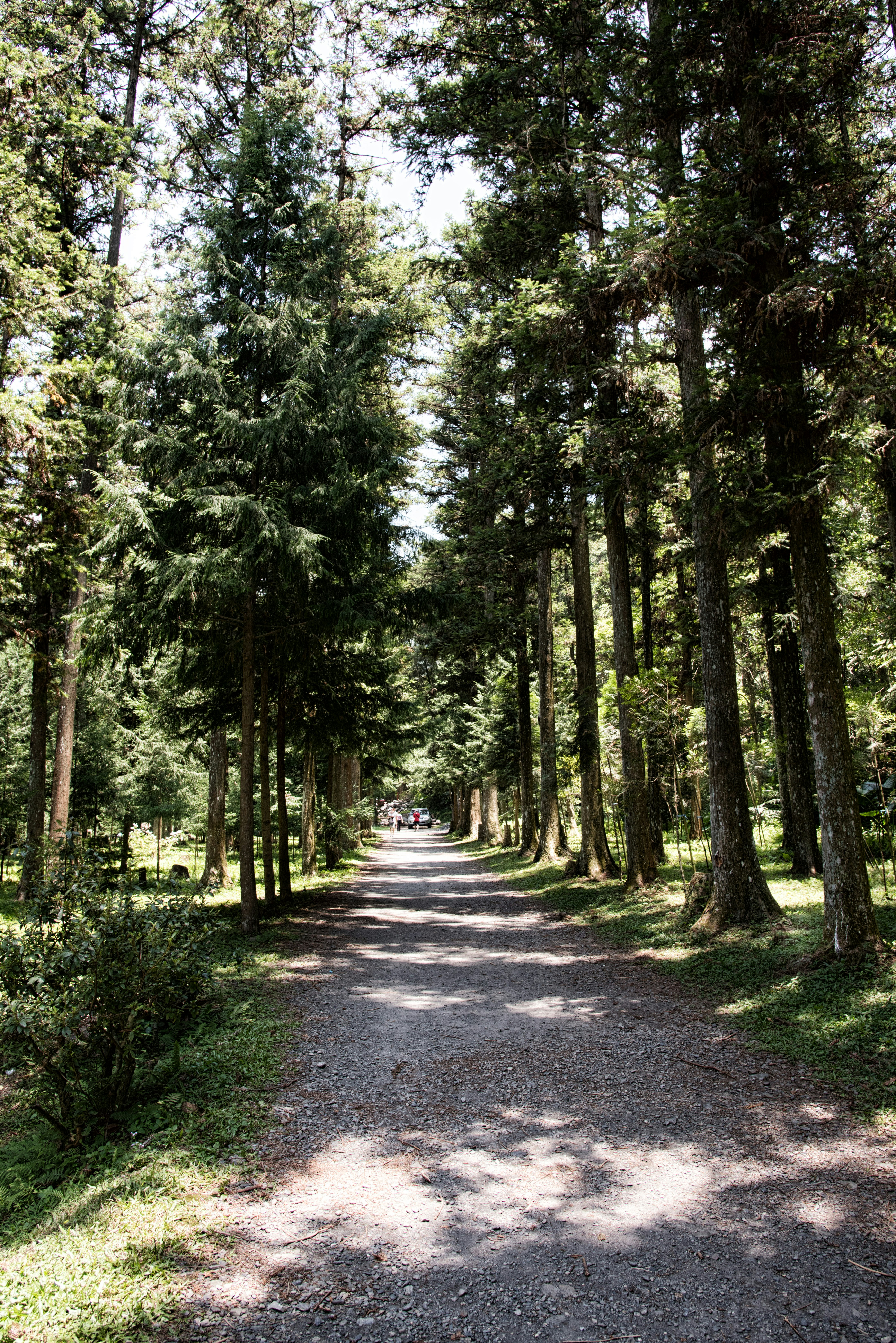 Free Unsplash photo from 榮達 陳