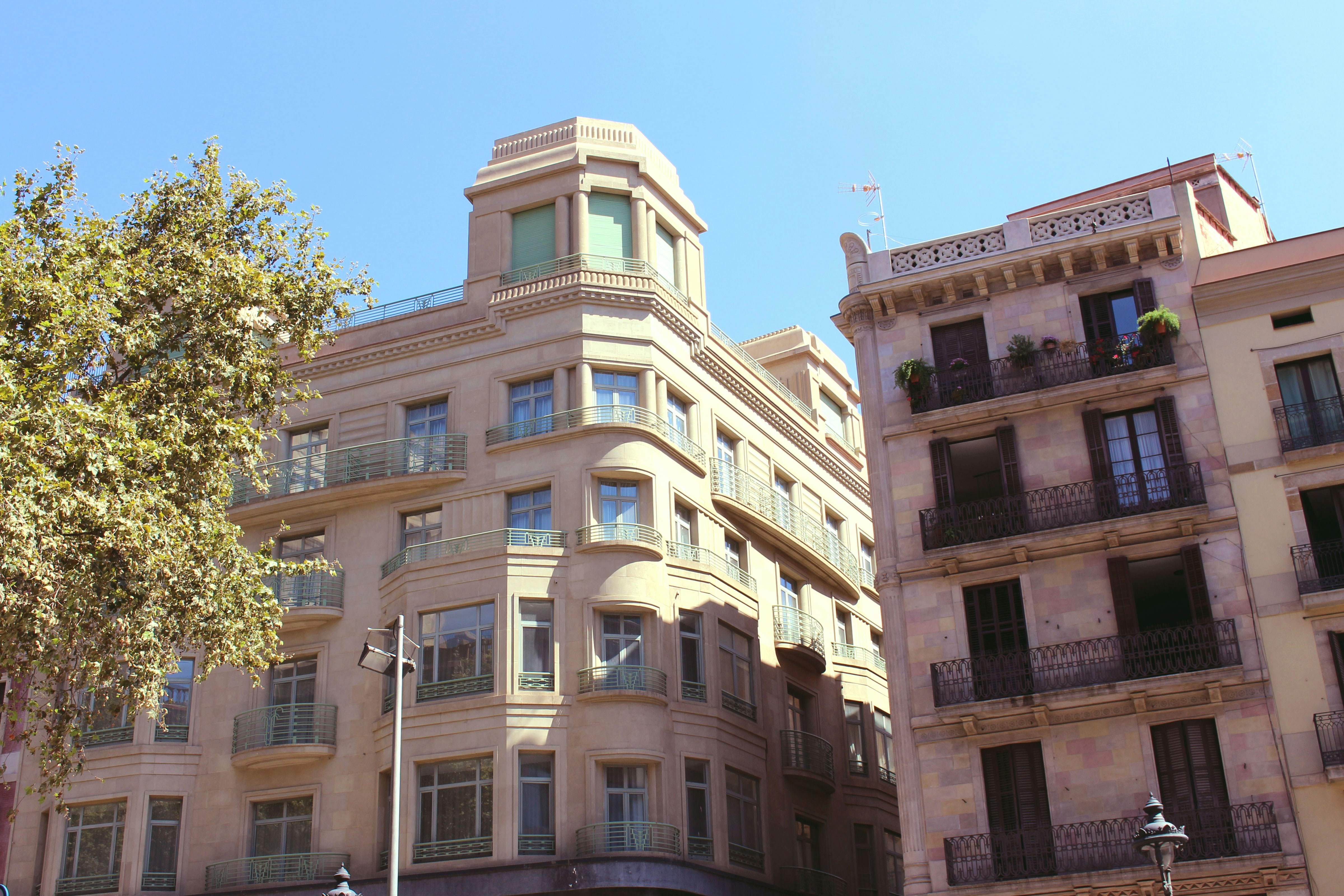 Free Unsplash photo from Luca Petolillo