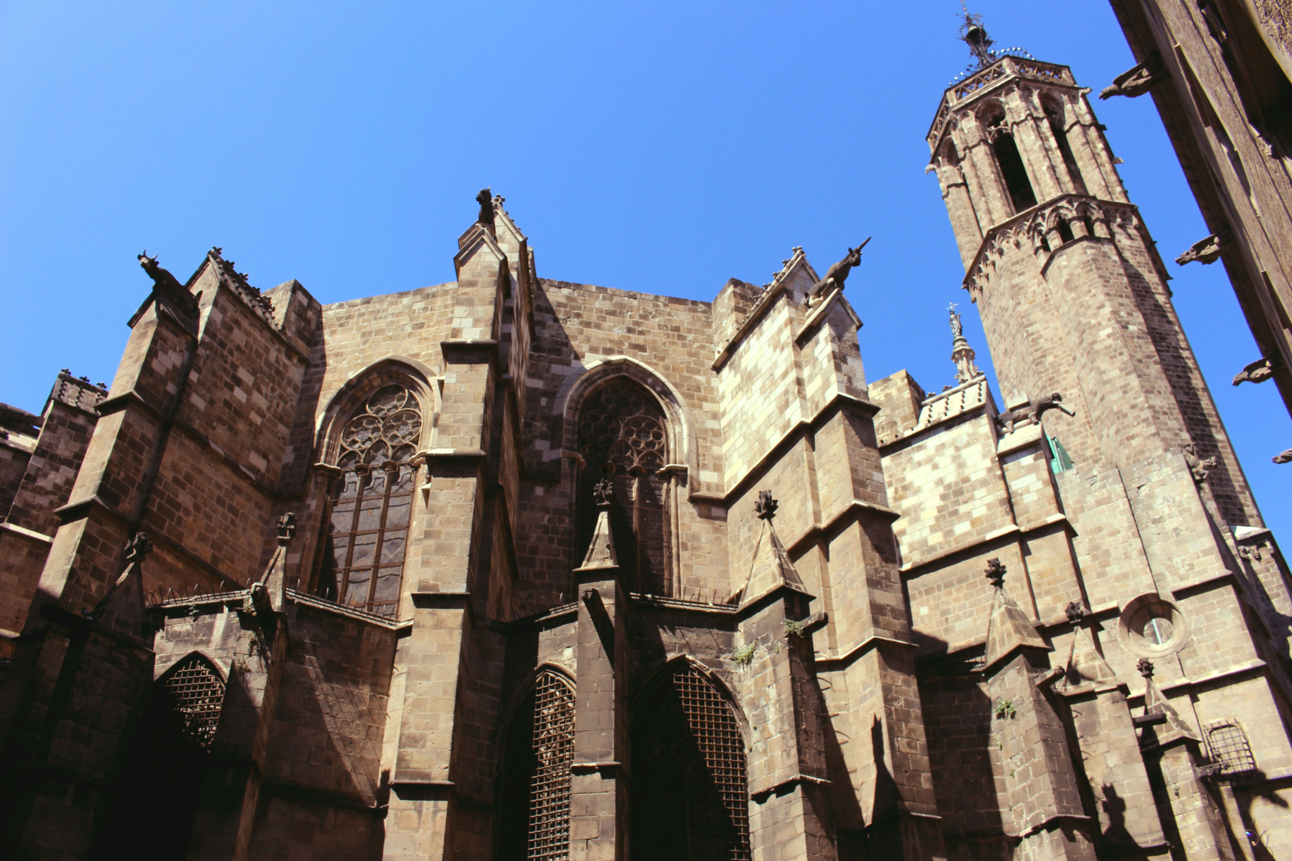 Free Unsplash photo from Luca Petolillo