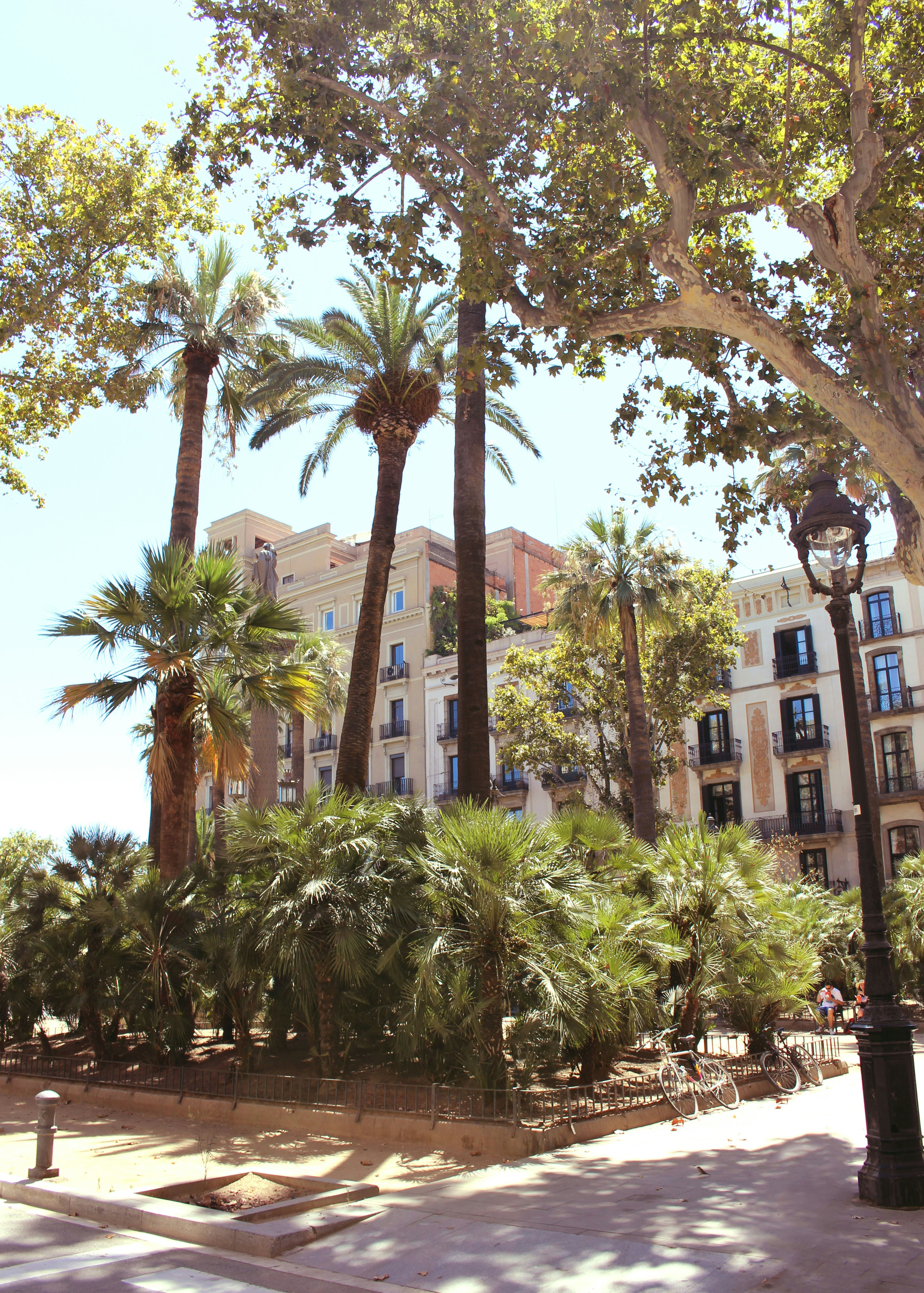 Free Unsplash photo from Luca Petolillo