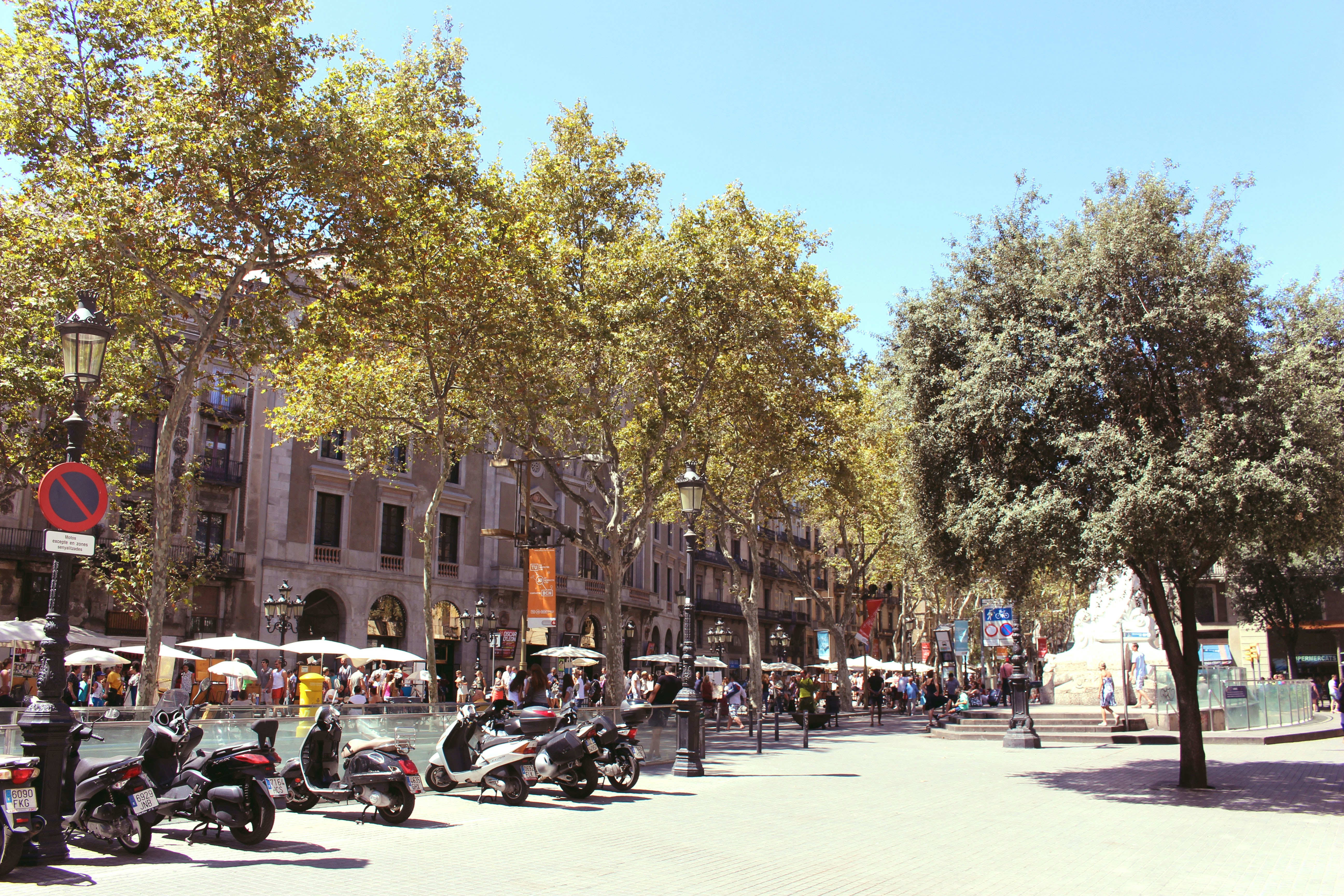 Free Unsplash photo from Luca Petolillo