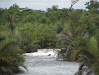 Lush green jungle trails leading to hidden waterfalls in El Nido.