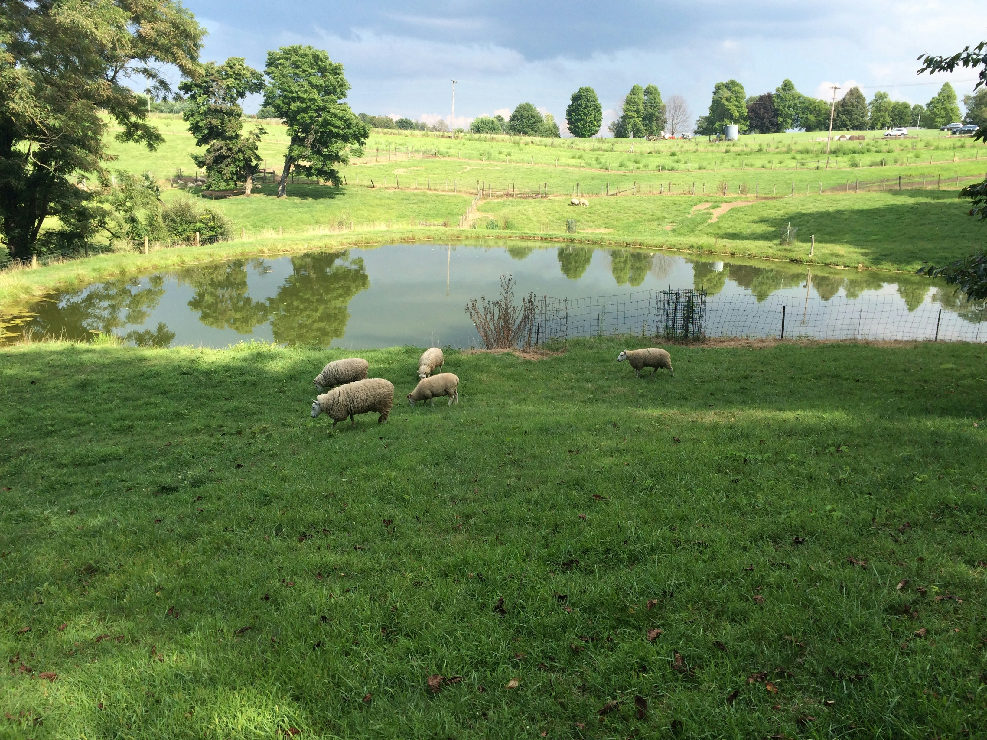 Free Unsplash photo from Matthew Slippy