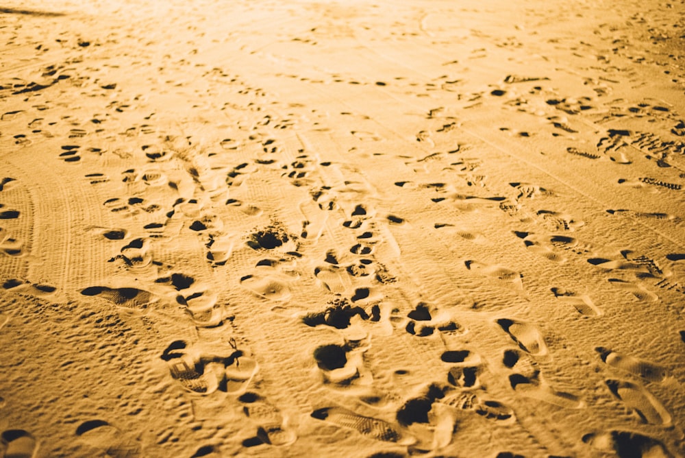 footprints in the sand