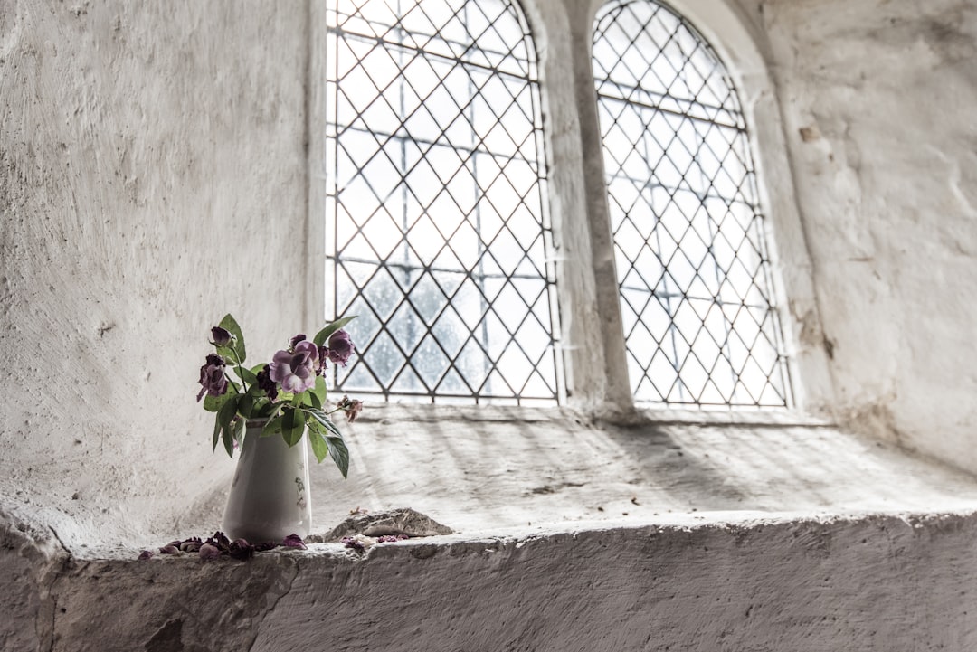  green and purple petal flowers on white vase near window flower vase vase