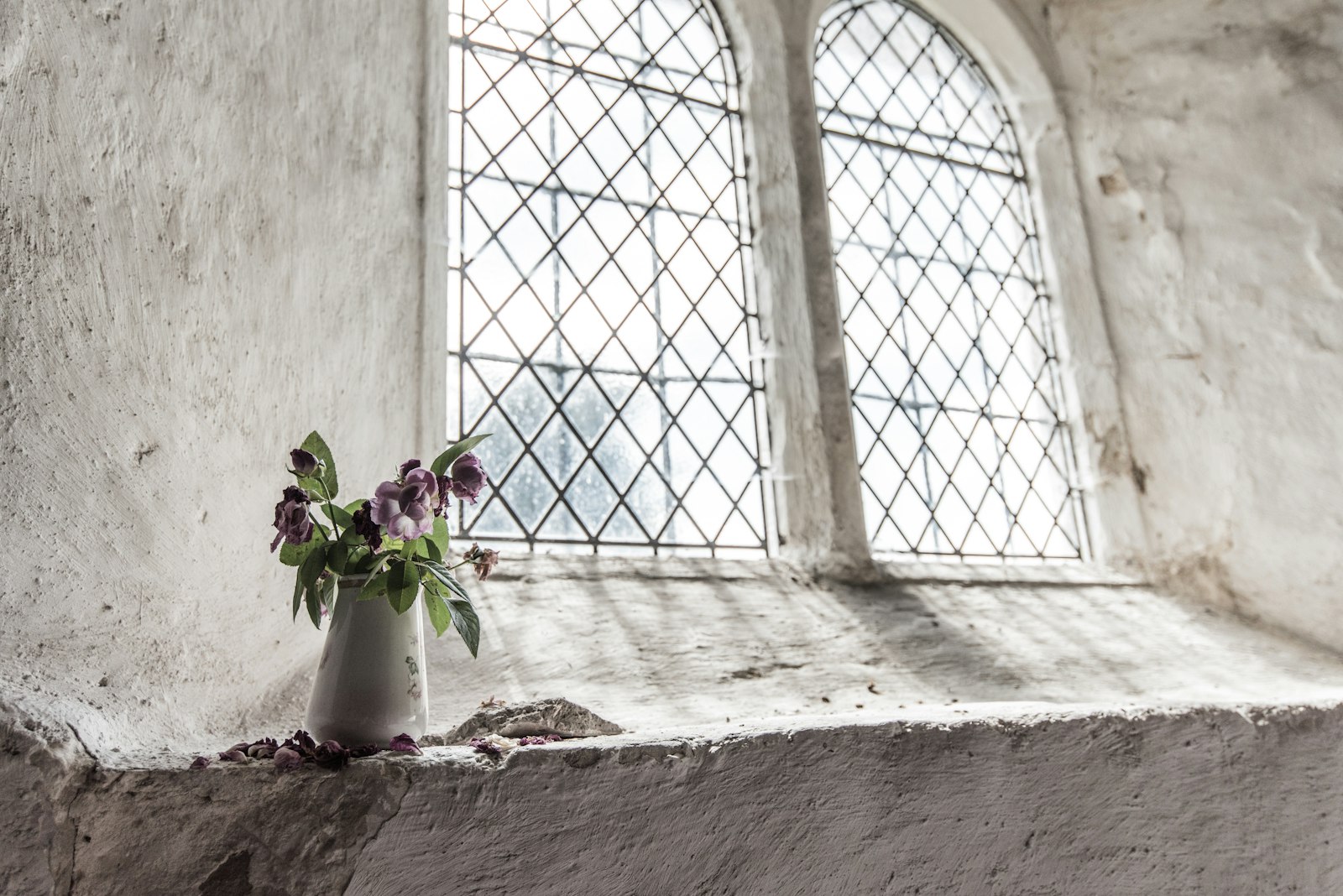 Nikon D750 + Nikon AF-S Nikkor 18-35mm F3.5-4.5G ED sample photo. Green and purple petal photography