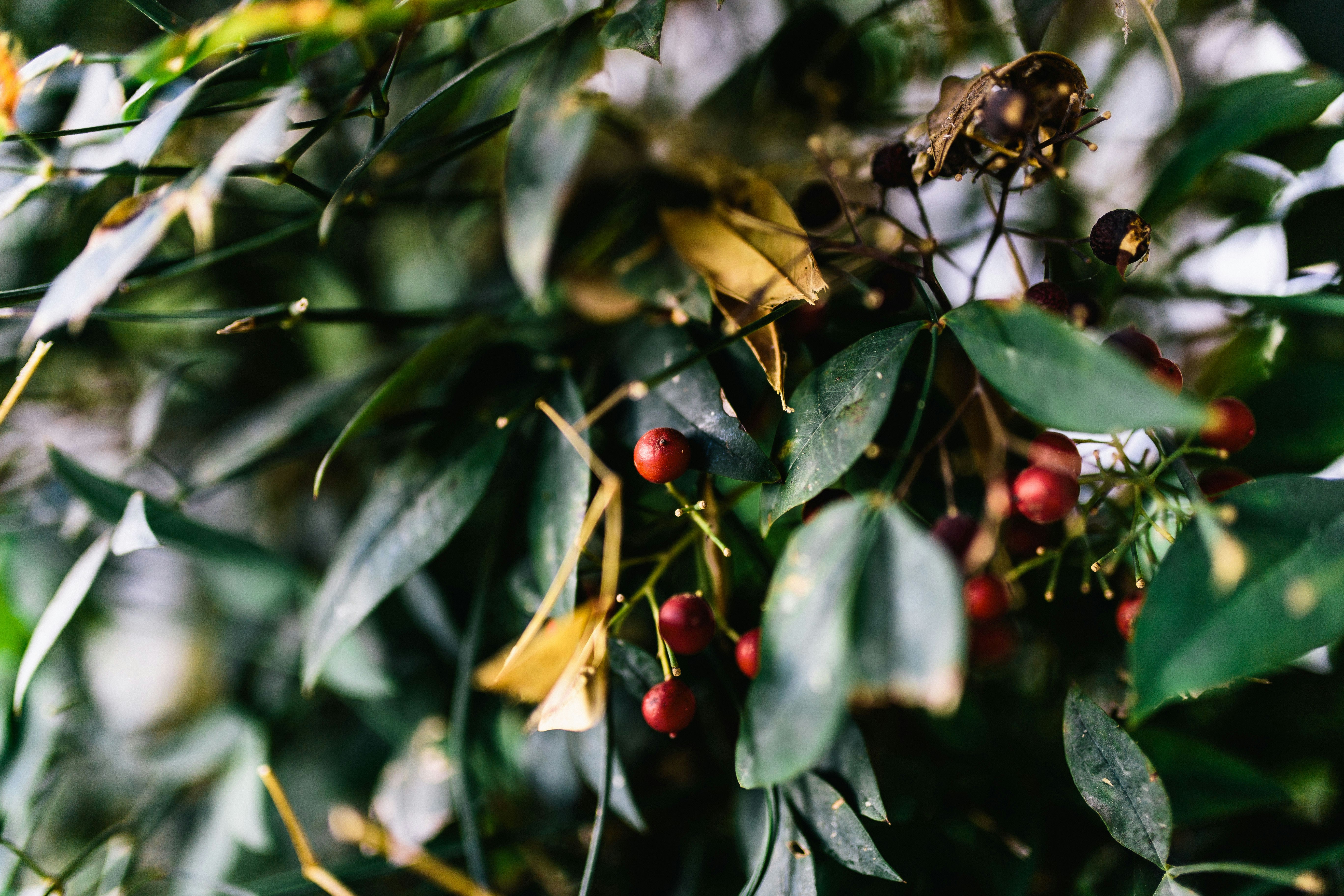 Free Unsplash photo from Tim Wright