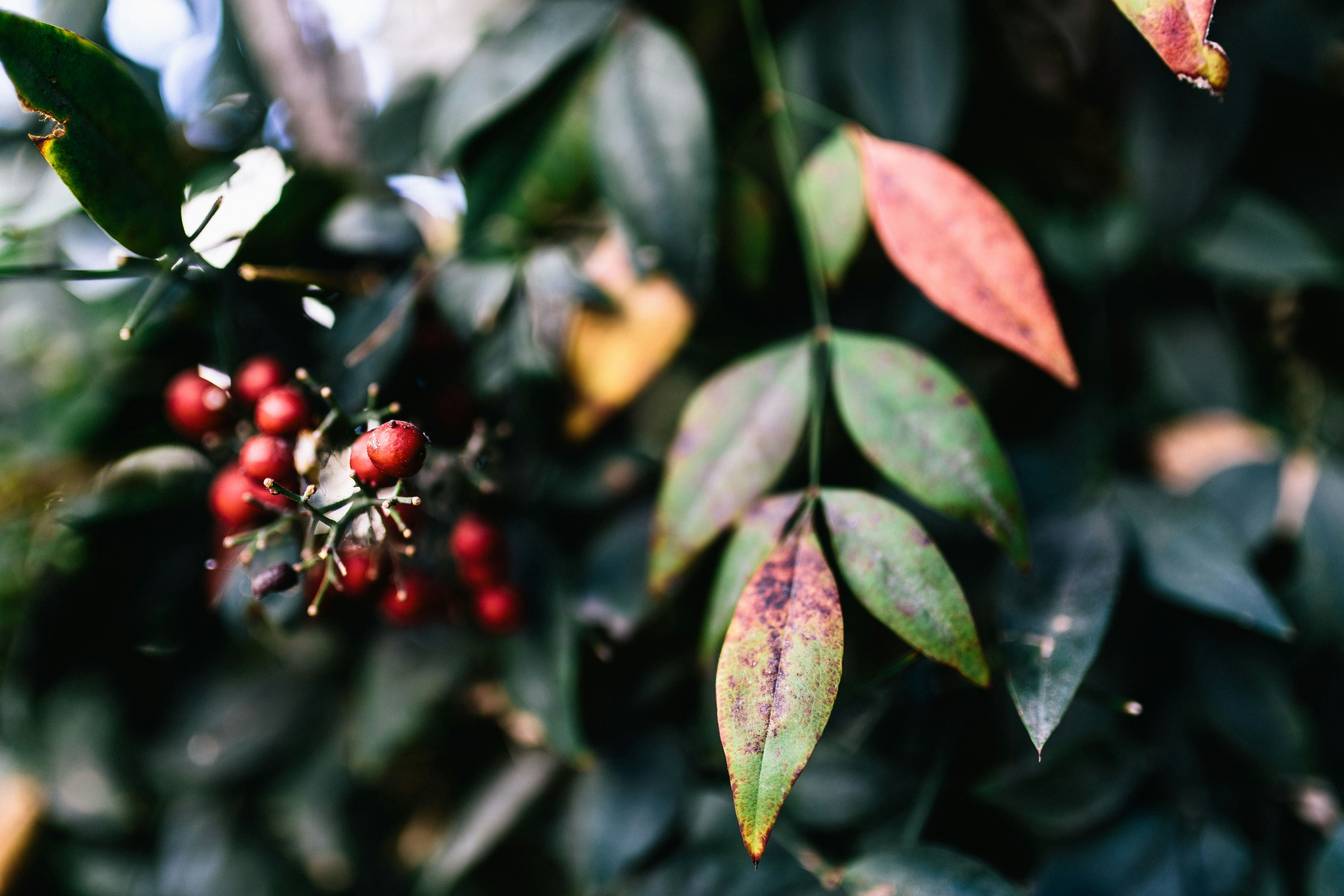 Free Unsplash photo from Tim Wright