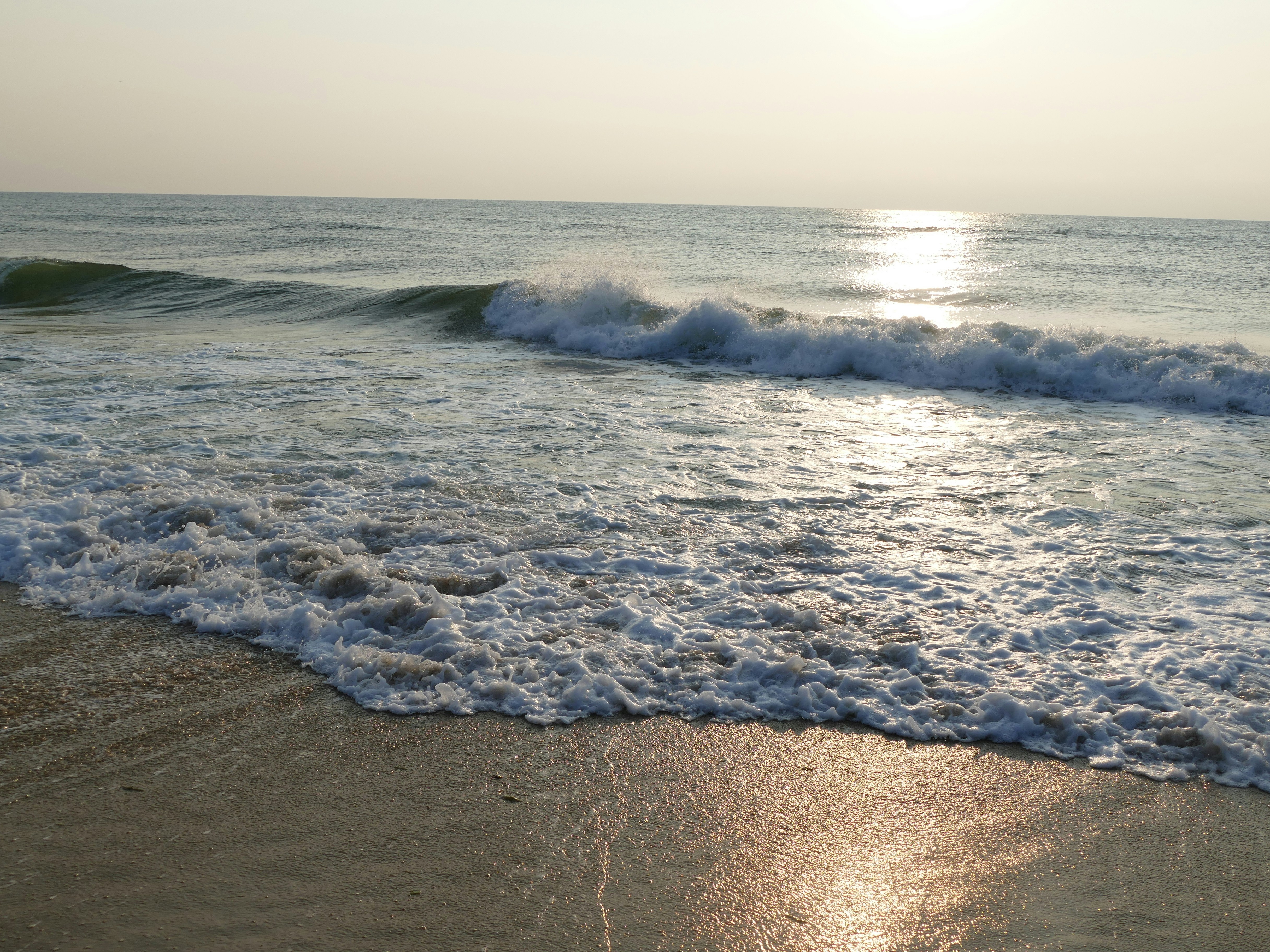 Free Unsplash photo from zori stefanova