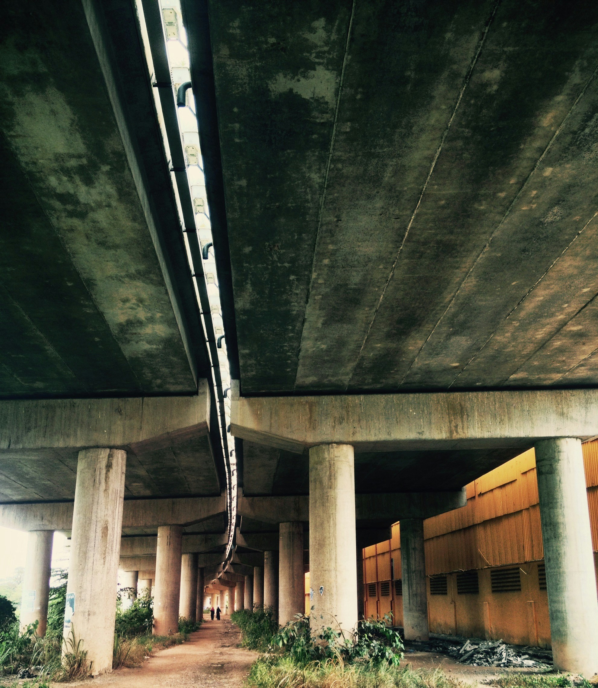 Free Unsplash photo from Dalo Mathers