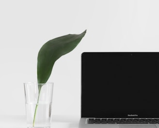 MacBook Pro beside plant in vase