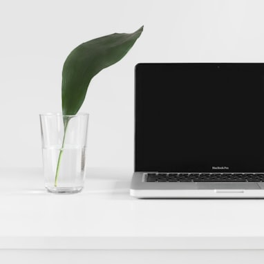 MacBook Pro beside plant in vase