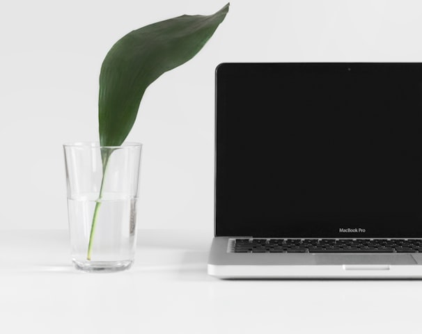 MacBook Pro beside plant in vase