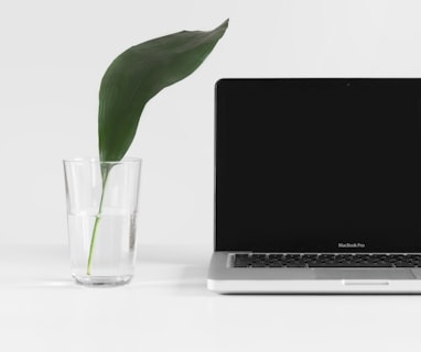 MacBook Pro beside plant in vase