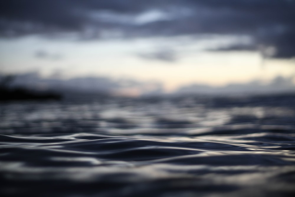 macro photography of body of water