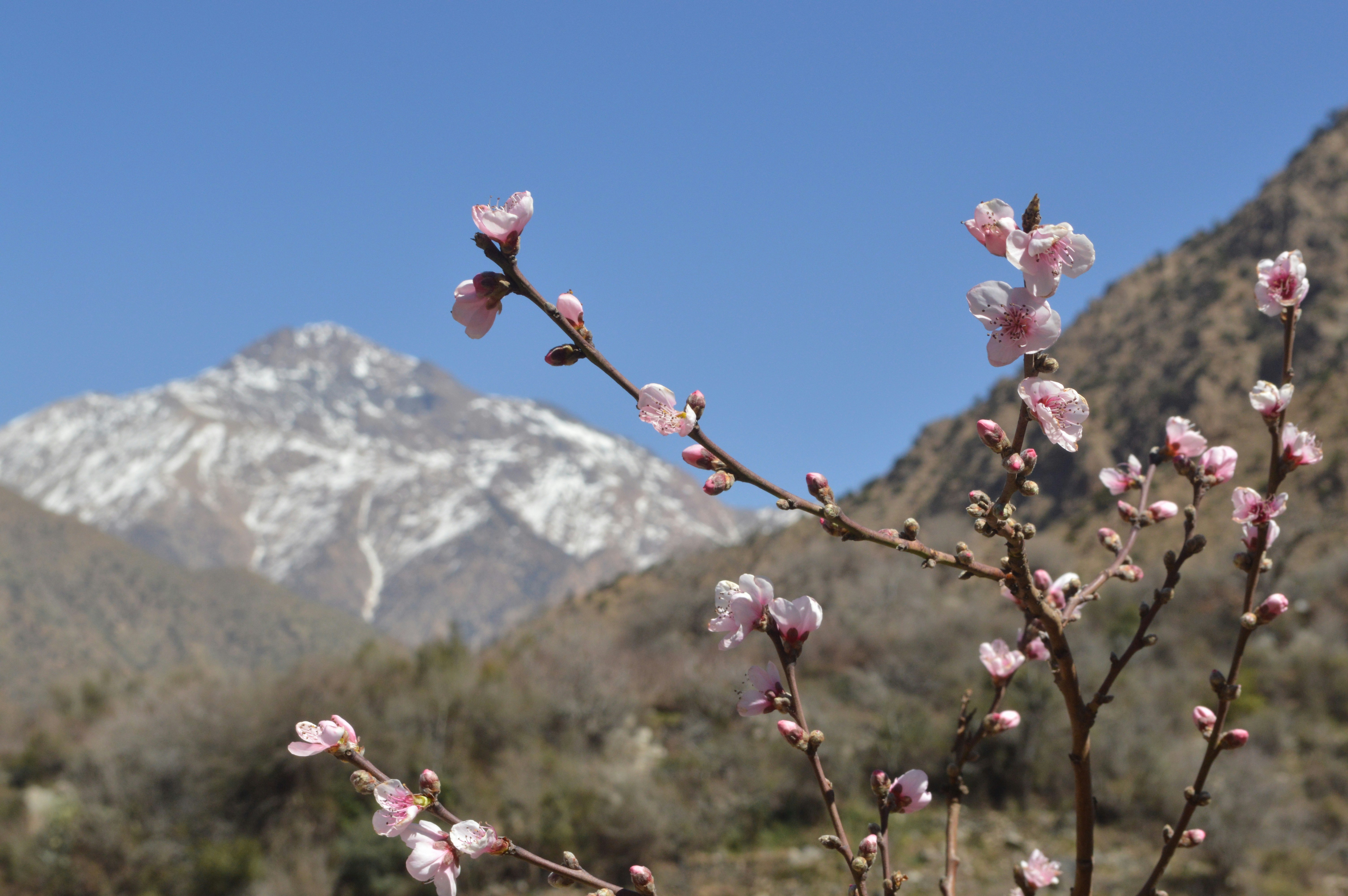 Free Unsplash photo from Conner Evans