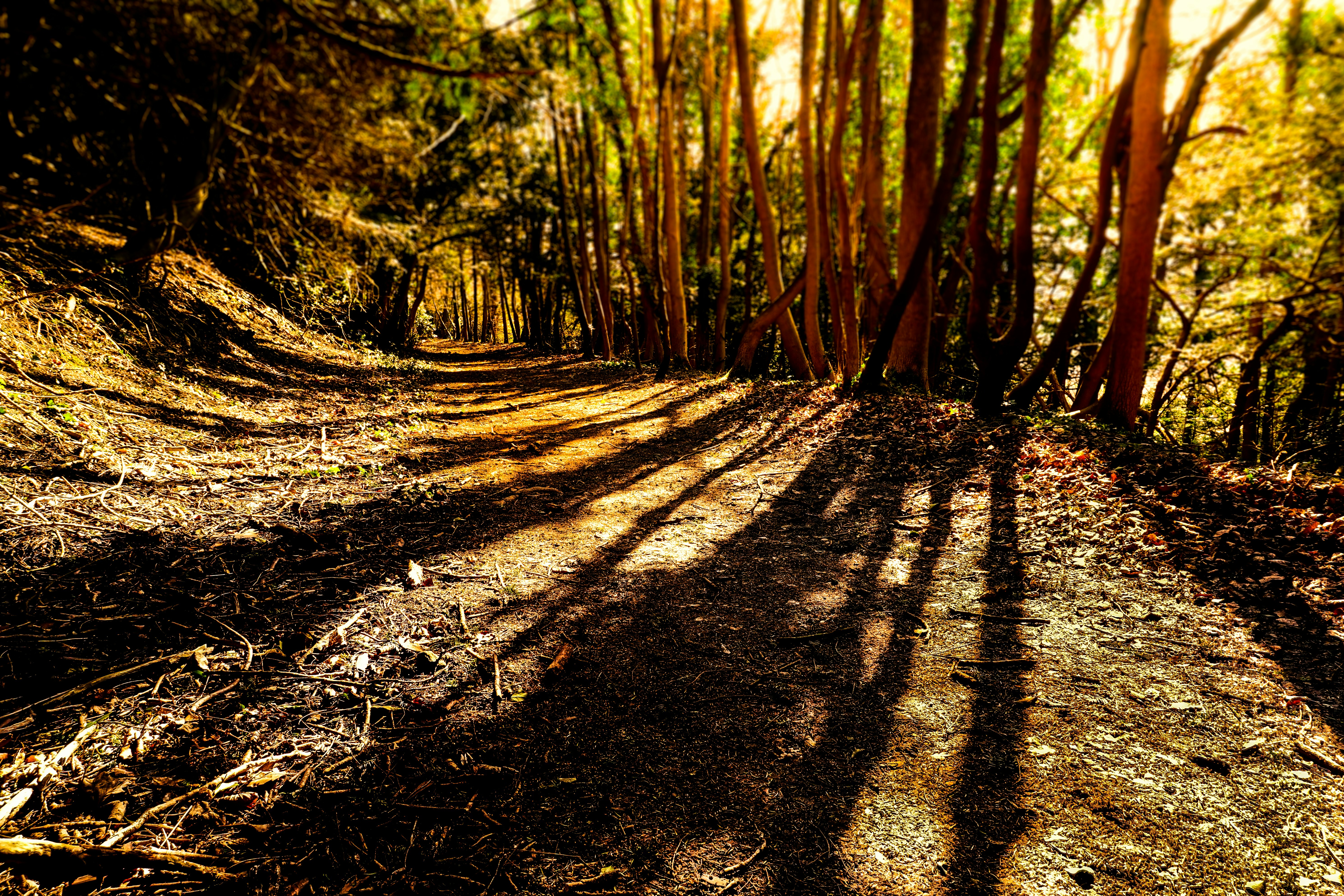 Free Unsplash photo from Mendhak