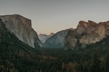 A scenic view of Zion National Park’s cliffs and greenery.