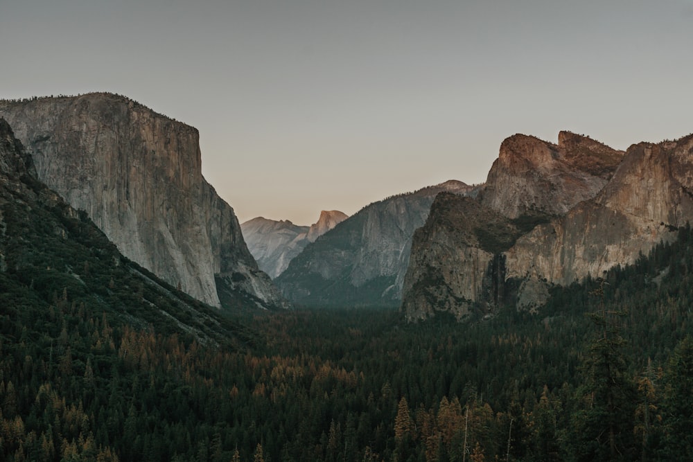 brown rock mountain beside forest