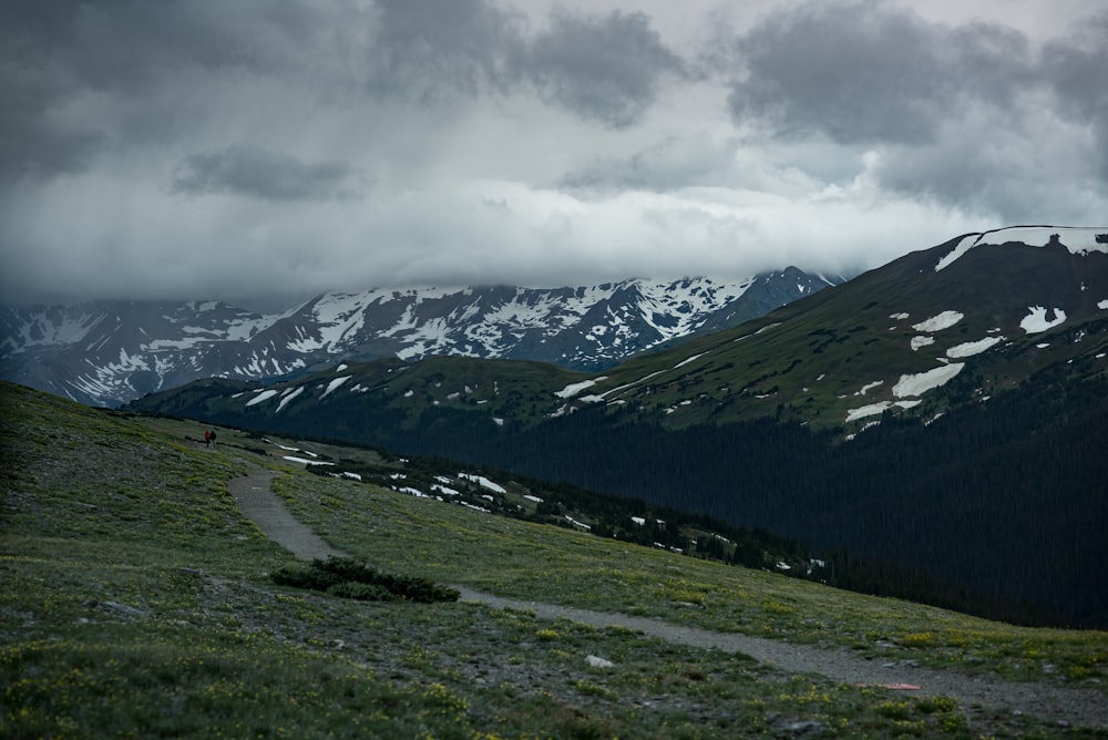 a path in the middle of a field with mountains in the background